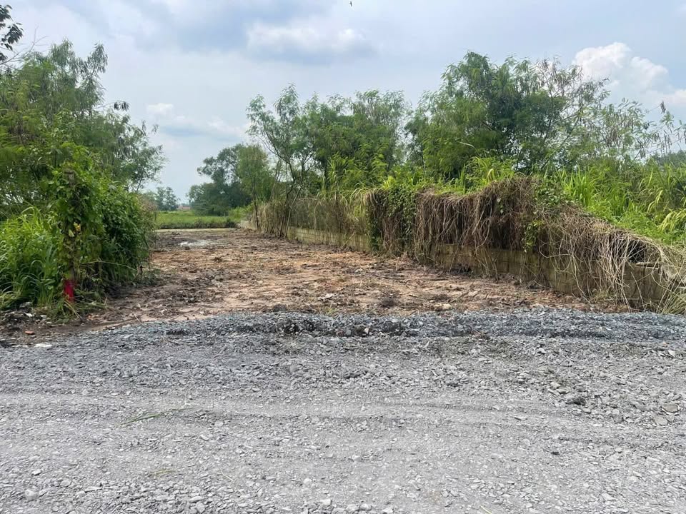 Đất thổ cư 460m² xã Tân Thạnh Đông - Giá chỉ 3 tỷ, mặt tiền đường nhựa rộng lớn!