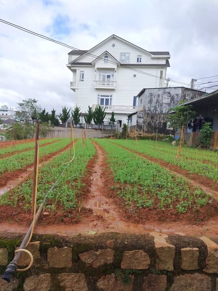 Đất nền Đà Lạt 250m² giá 10 tỷ - Cơ hội đầu tư tuyệt vời!