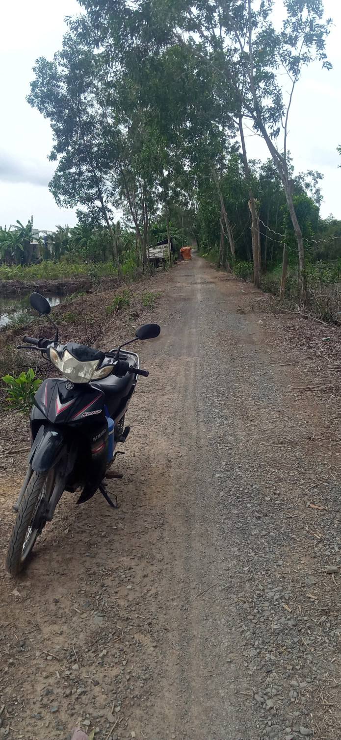 Đất trang trại 38.500m² xã Thạnh Lợi Bến Lức giá 11.55 tỷ - Đầu tư sinh lời hấp dẫn!