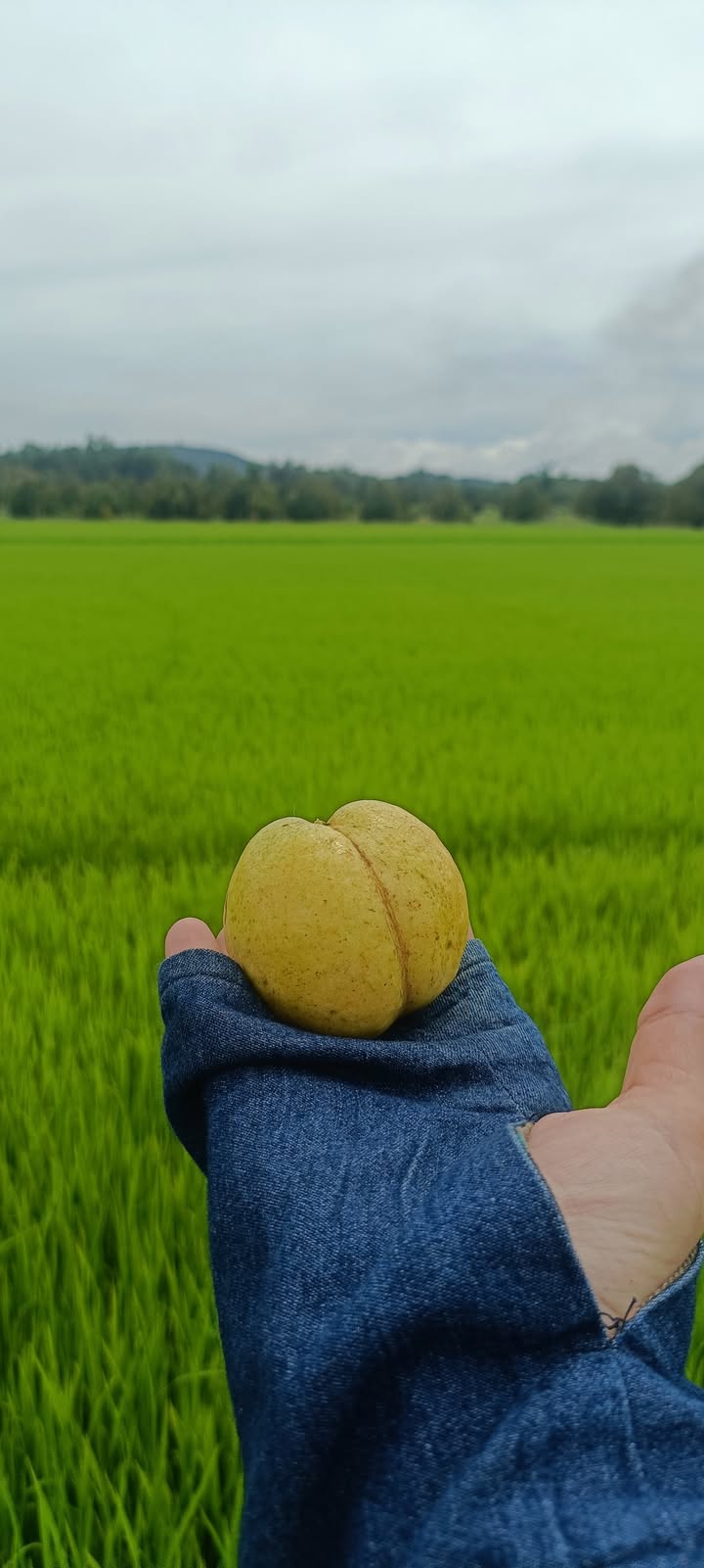 Đất nền Tân Phú 160m² giá 2.2 tỷ - Vị trí trung tâm, hai mặt tiền