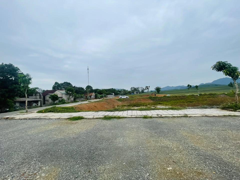 Đất nền xã Lam Sơn, Ngọc Lặc 130m² giá chỉ 300 triệu - Sổ đỏ chính chủ, giao ngay!