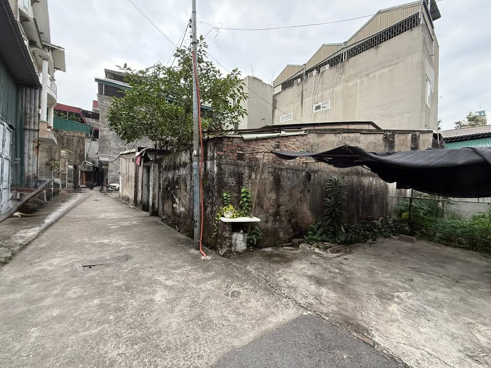 Đất phố Trường Lâm, Việt Hưng 58m² giá 8 tỷ - Đầu tư sinh lời ngay!