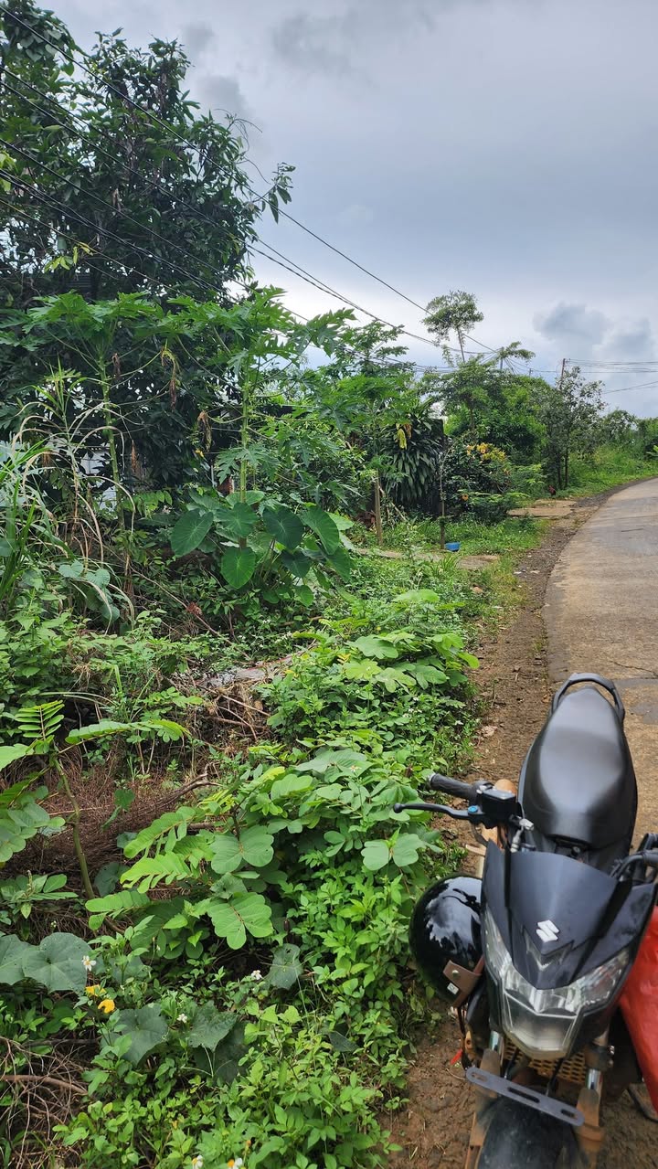 Đất thổ cư Đắk Ngo 1000m² giá 300 triệu - Cơ hội đầu tư tuyệt vời!