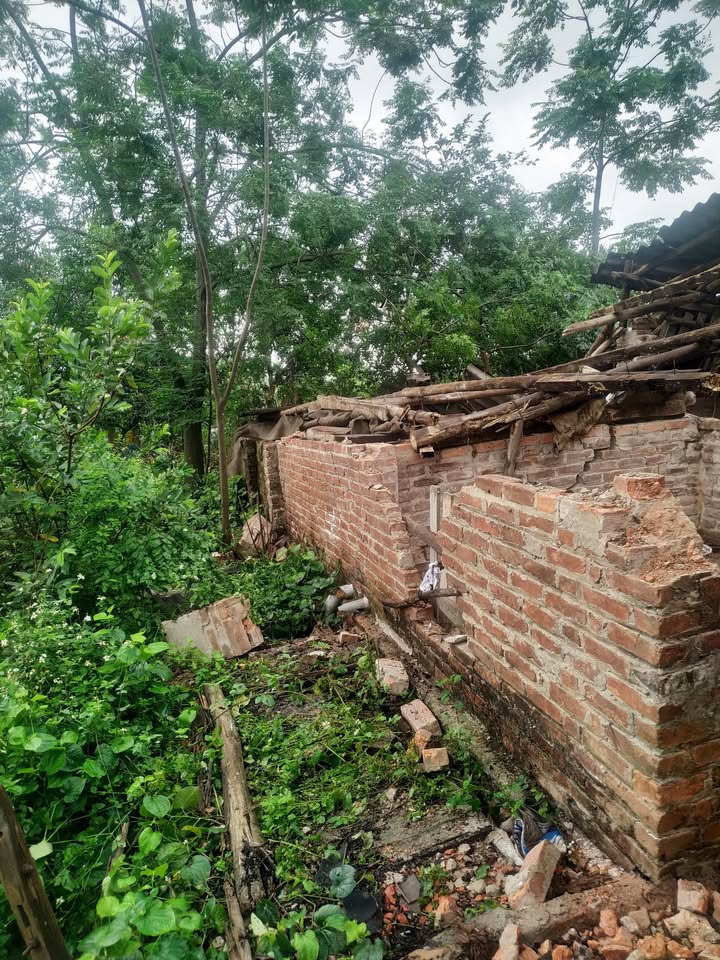 Đất nền Tả Thanh Oai 65m² giá 1.17 tỷ - Chính chủ bán gấp!