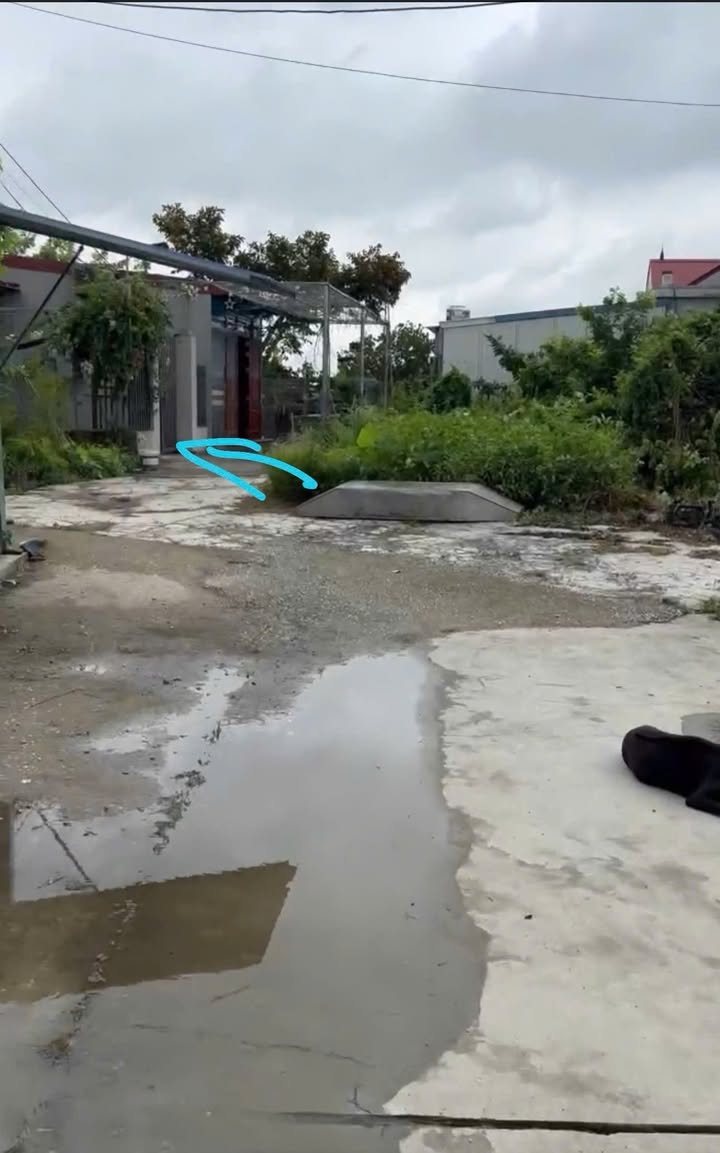 Đất nền Trường Thành, An Lão 52.7m² giá 700 triệu - Đầu tư sinh lời ngay!