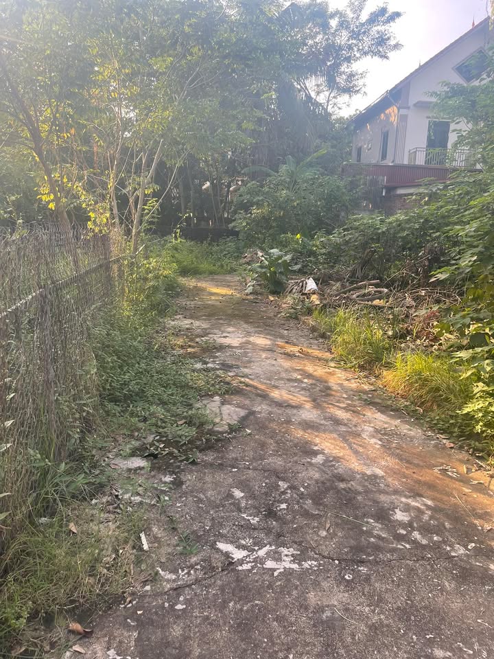 Đất vườn 800m² tại Sơn Đồng, Hà Nội - Giá cực tốt, sẵn sàng giao dịch!