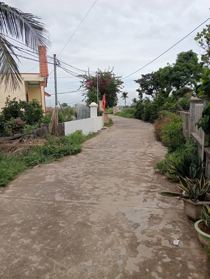 Đất khai hoang 3 sào tại Bắc Hải, Nam Đồng Sơn - Giá chỉ 1.8 tỷ VND!