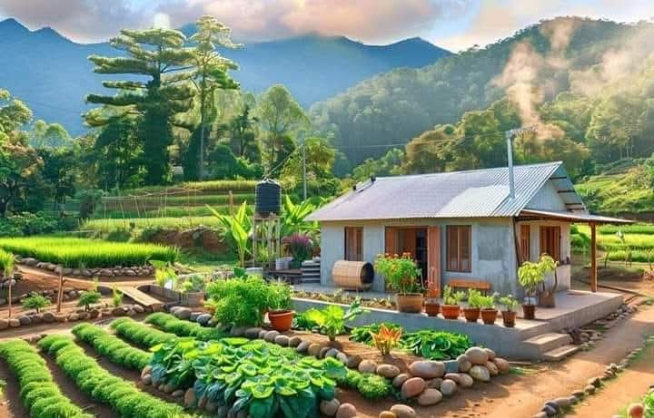 Bán vườn tại Phổ Nhơn, Đức Phổ, Quảng Ngãi - 1400m² giá 800 triệu - Đất vườn sạch sẽ, tiềm năng phát triển!