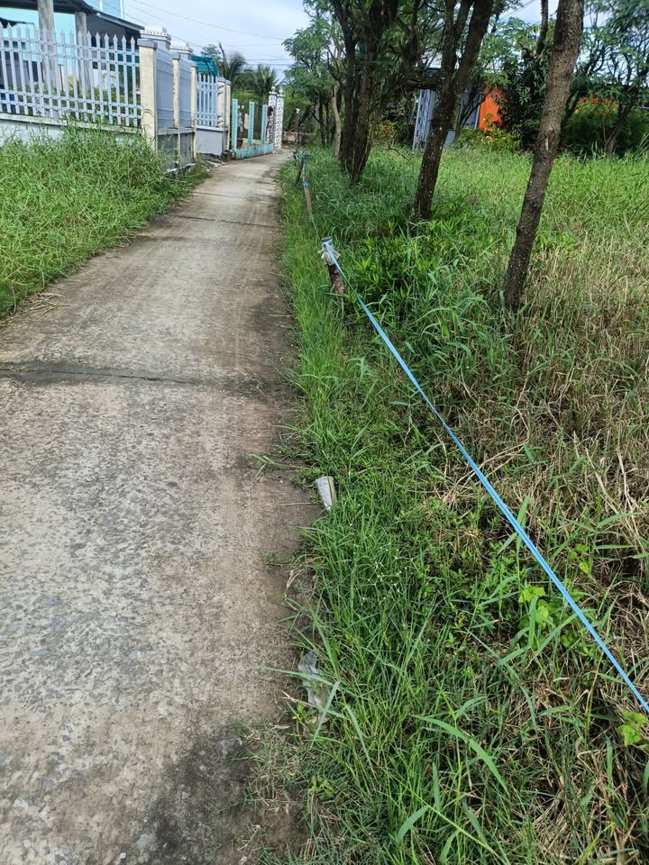 Đất nền Ấp 4 Gia Thuận 630m² giá chỉ 1 tỷ - Đầu tư sinh lời ngay!