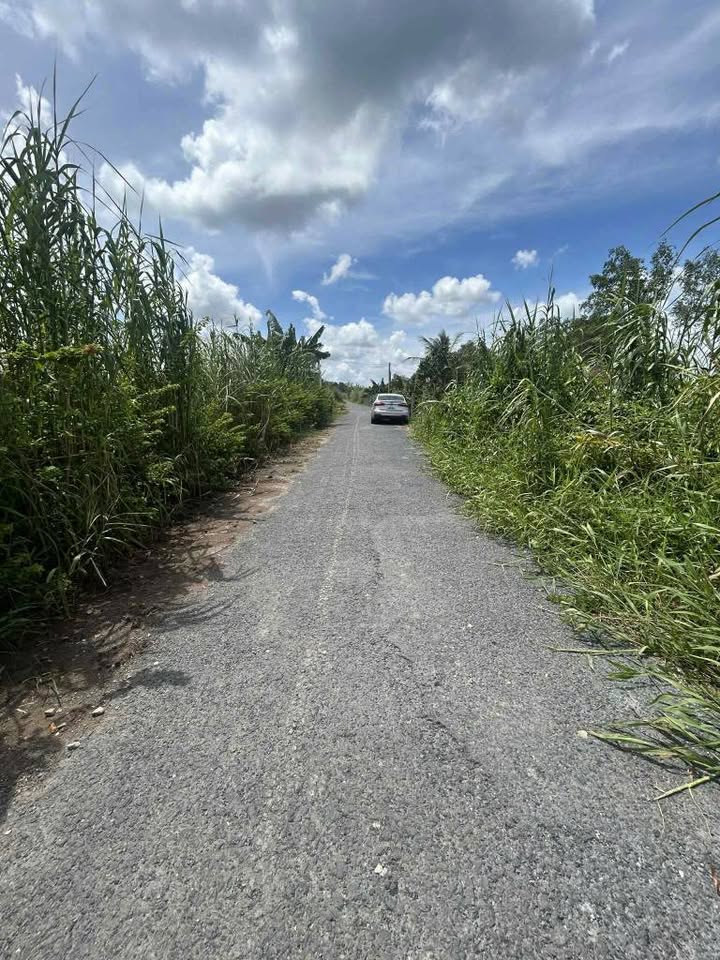 Bán đất An Phú Thuận Châu Thành 115m² chỉ 249 triệu - Vị trí đẹp gần chợ Hàn Thẻ!