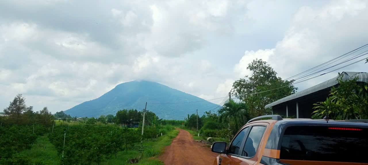 Vườn sầu riêng Suối Đá, Dương Minh Châu 1500m² giá 600 triệu - Đầu tư sinh lời ngay!