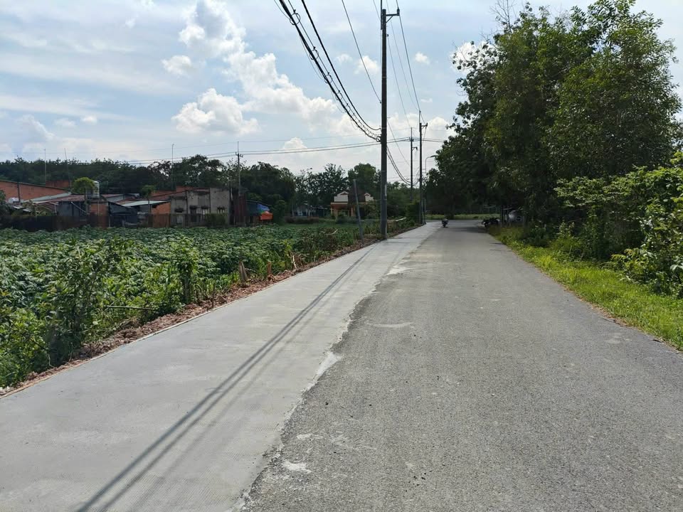 Đất mặt tiền nhựa An Phú Củ Chi 585m² - Giá thỏa thuận cực hấp dẫn!