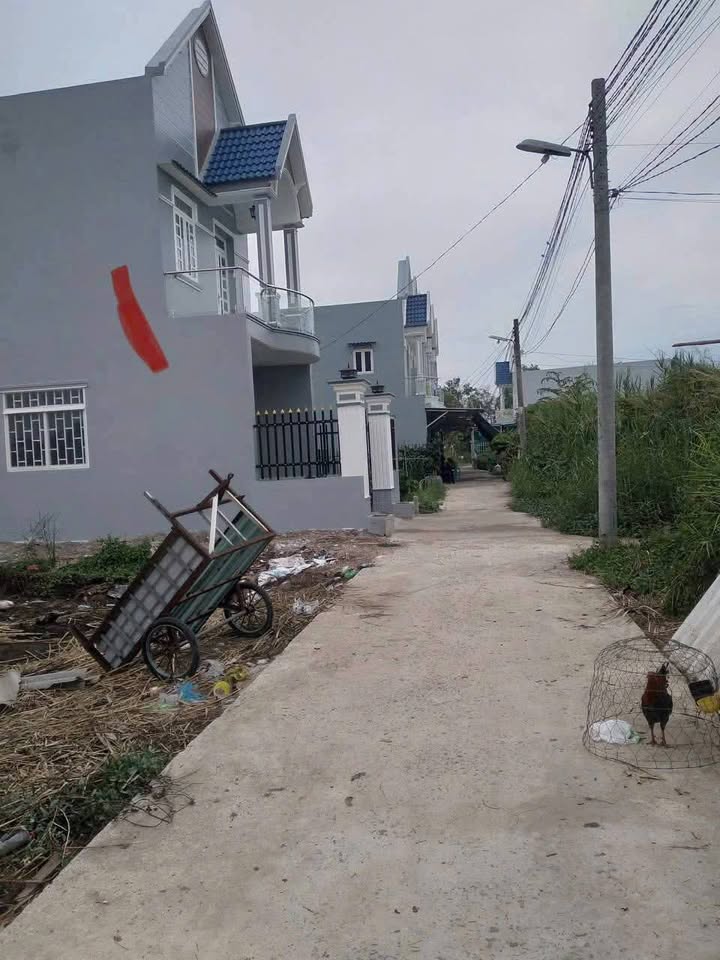 Đất thổ cư Mỹ Lộc, Cần Giuộc 145m² giá 1.35 tỷ - Đầu tư sinh lời!