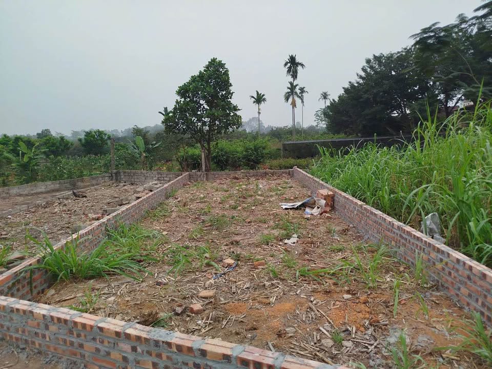 Đất Tích Giang Phúc Thọ 48m² giá 960 triệu - Ô tô vào tận nơi!