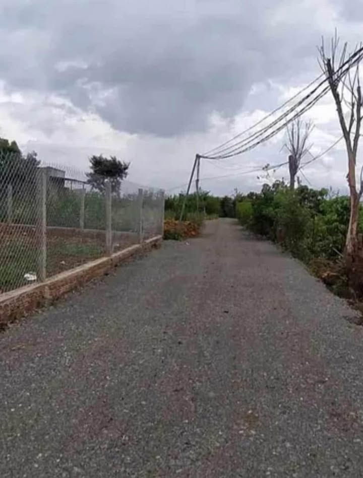 Đất nền Tân Hội, Đức Trọng 136,9m² giá 425 triệu - Đầu tư sinh lời ngay!