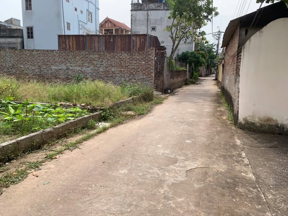 Đất thổ cư Tự Nhiên, Thường Tín 80m² giá 4.1 tỷ - Đường ô tô vào tận nơi!