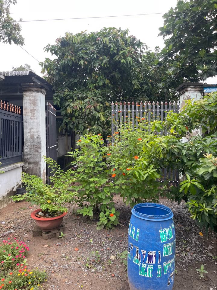 Đất nền Tân An Hội 52m² giá 1.5 tỷ - Đầu tư lý tưởng!