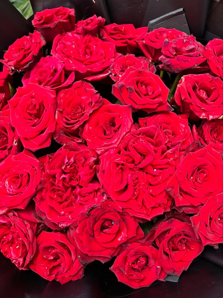 Đất thổ cư An Nhơn Tây, Củ Chi 154m² - Mặt tiền đường Trung Lập Thượng