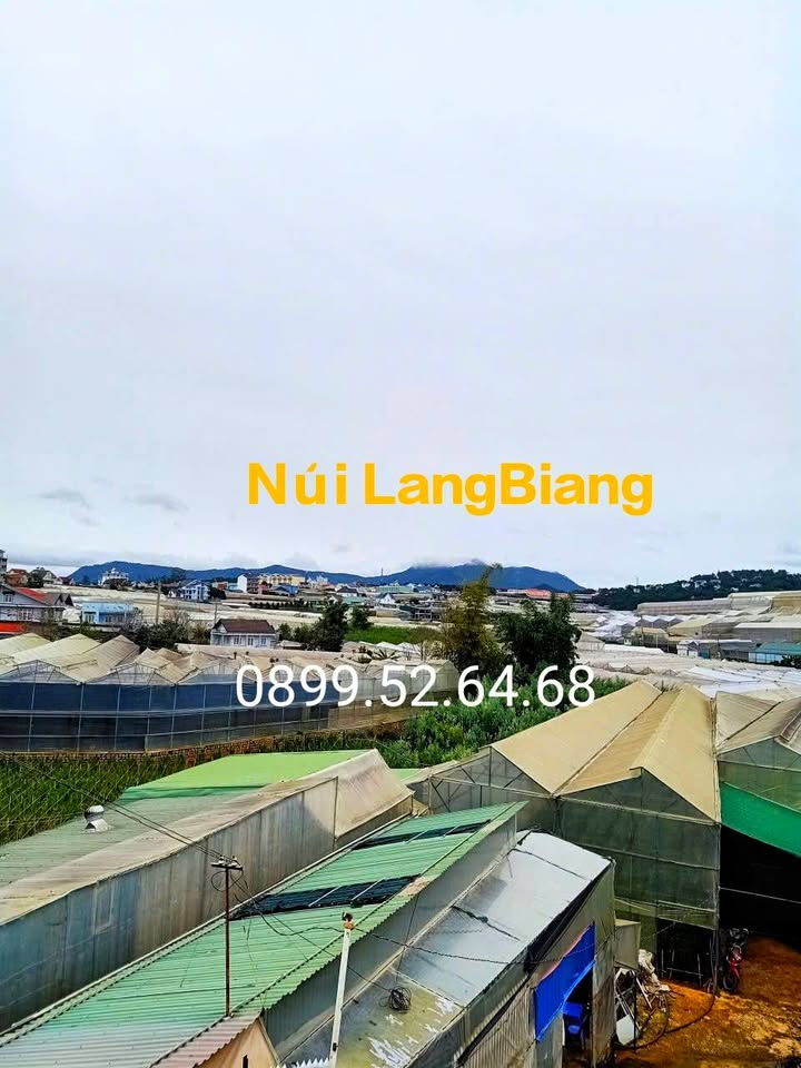 Nhà mặt tiền Trần Anh Tông - Nguyên Tử Lực, Đà Lạt 100m² giá 10.2 tỷ - View đẹp, thương lượng trực tiếp!