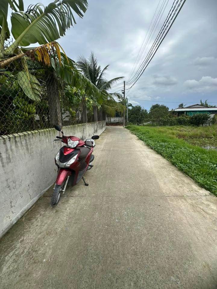 Đất nền xã An Vĩnh Ngãi, Tân An, Long An 125m² giá 690 triệu - Cơ hội đầu tư hấp dẫn!