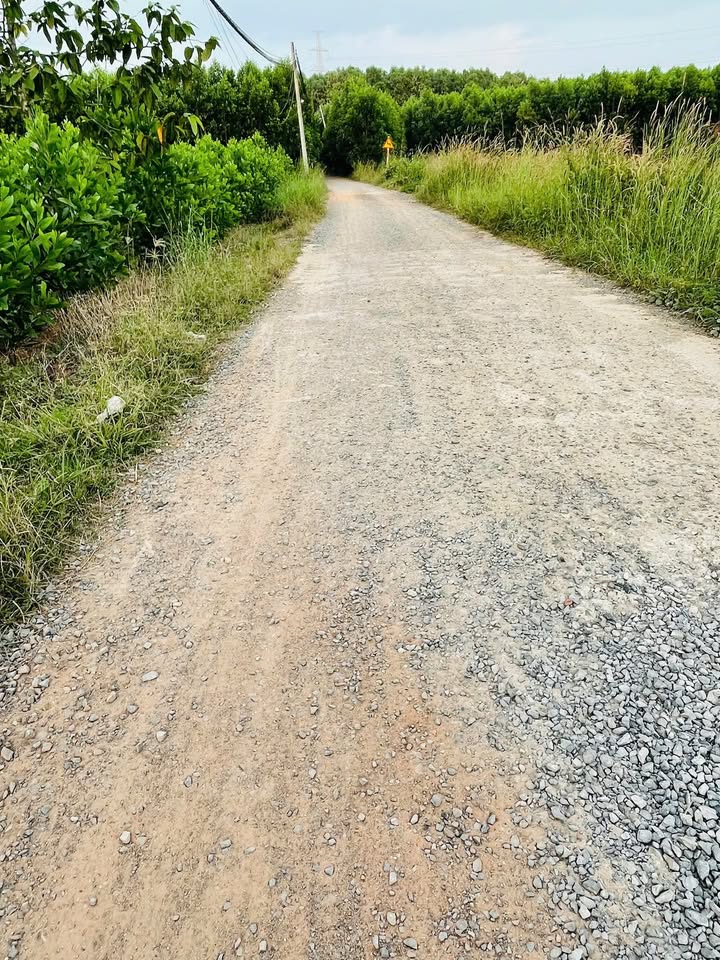 Đất thổ cư xã Trị An, Vĩnh Cửu 300m² giá 1.5 tỷ - Tiềm năng đầu tư hấp dẫn!