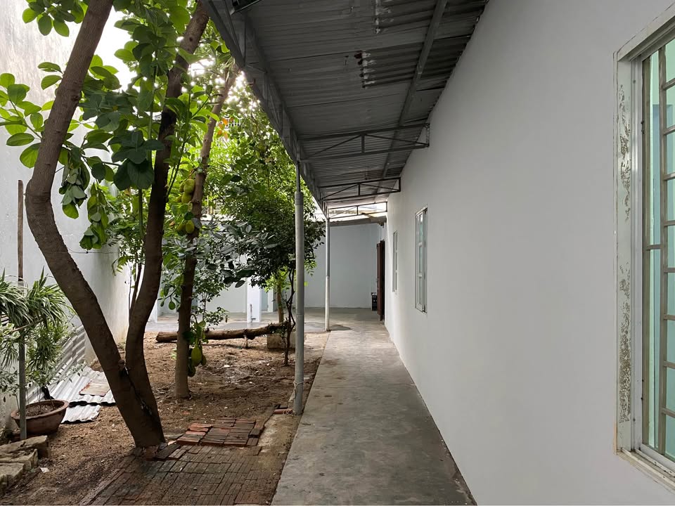 Nhà cho thuê Vĩnh Hòa Nha Trang 200m² giá 10 triệu - Sân vườn rộng rãi thoáng mát!
