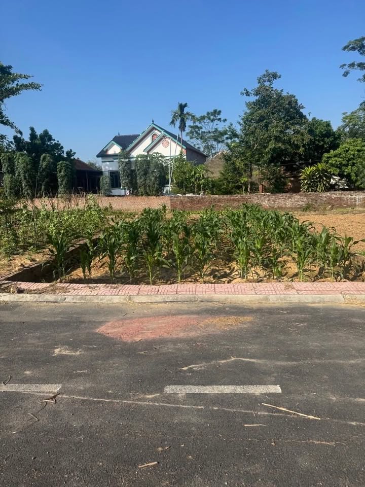 Đất phân lô Tiên Chu, Sóc Sơn 110m² - Tiềm năng phát triển cao!