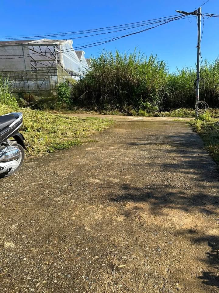 Đất nền đẹp tại Mai Anh Đào, Đà Lạt 100m² giá 1.1 tỷ - Gần thung lũng Tình Yêu!