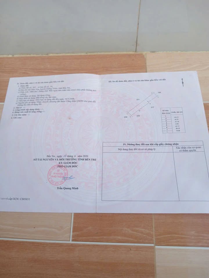 Đất nền Châu Hòa Giồng Trôm 19000m² giá 1.2 tỷ - Tiềm năng sinh lợi cao!