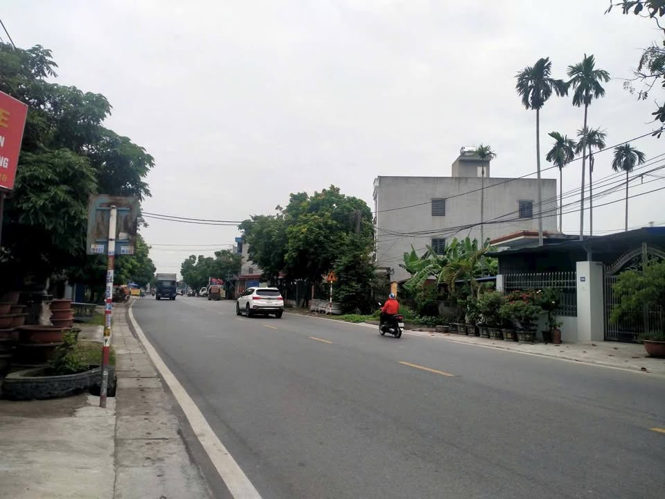 Đất mặt đường Phan Đăng Lưu, Hồng Thái, An Dương 137m² - Kinh doanh sầm uất!