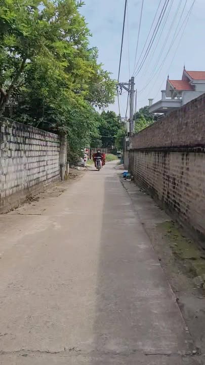 Đất nền chính chủ Chương Dương Thường Tín 629m² - Đầu tư sinh lời ngay!