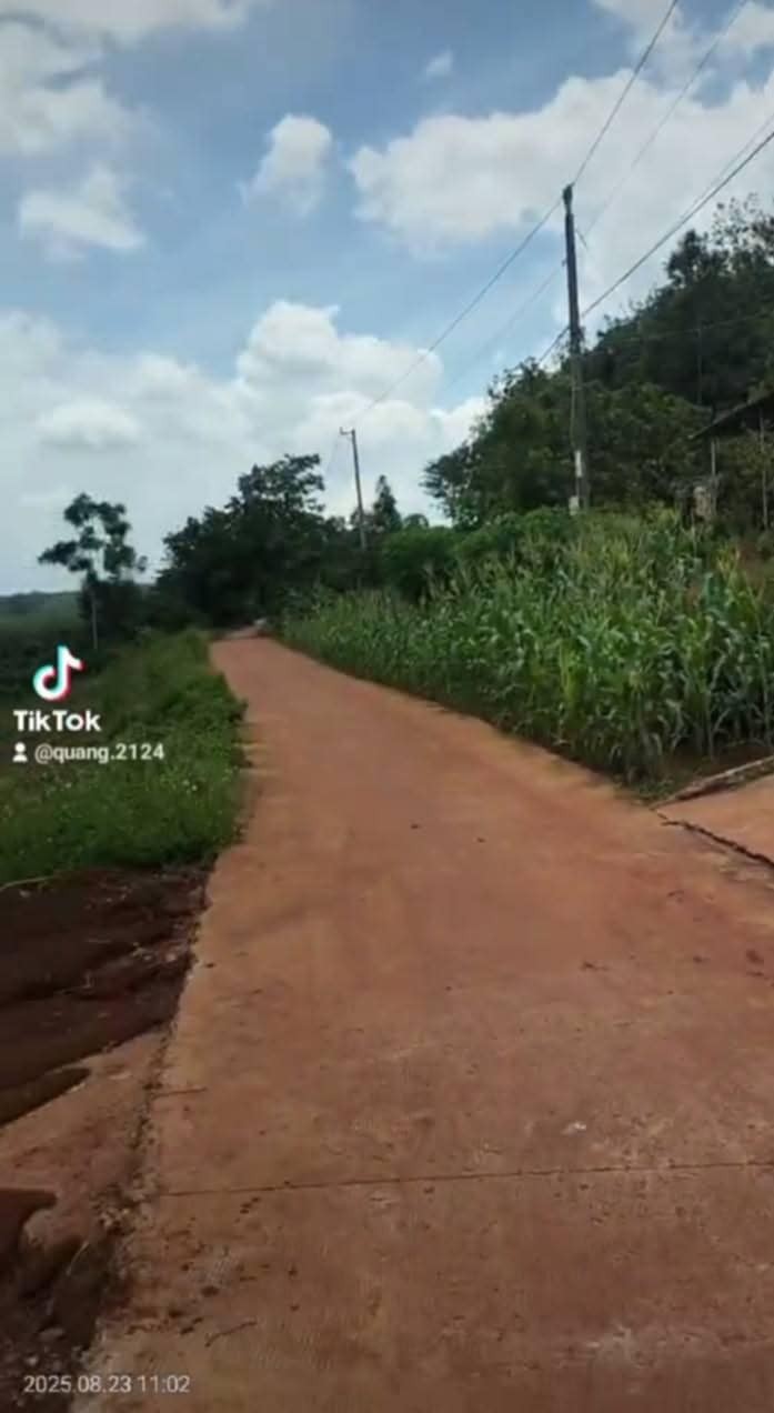 Đất Farm 14000m² tại Long Hưng, Phú Riềng giá 1.6 tỷ - Cơ hội đầu tư tuyệt vời!