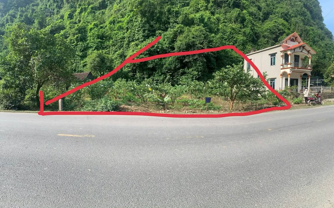 Lô đất thổ cư 300m² tại Đồng Bong, Lạc Thủy - Đầu tư sinh lời ngay!