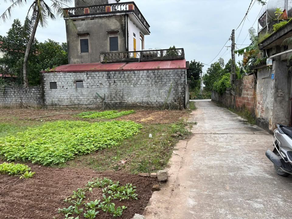 Đất thổ cư Tường Thụy 3, Duy Tiên 81m² - Giá chỉ từ 1.2 tỷ, đầu tư sinh lời!