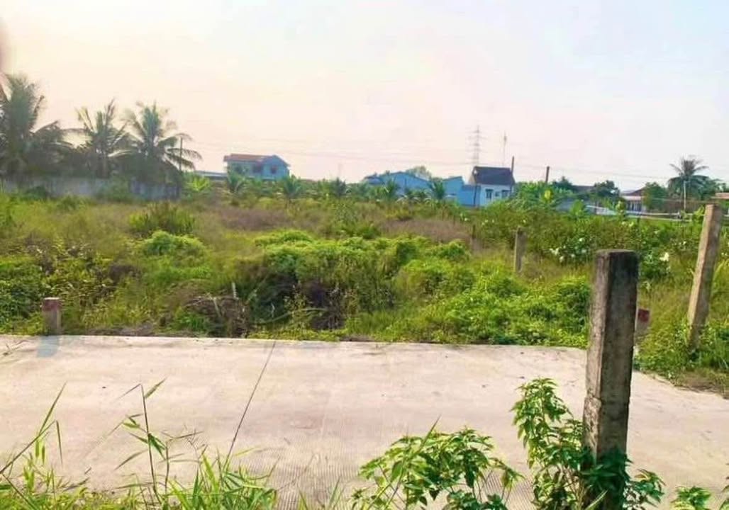 Đất thổ cư KDC Mộc Xô - Mỹ Bình, Tân Bình, Long An 181m² giá 790 triệu - Đầu tư sinh lời ngay!