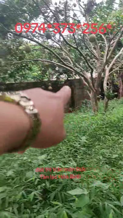 Đất ở Mãn Đức, Tân Lạc, Hòa Bình 666m² chỉ 1 tỷ - Cơ hội đầu tư sinh lời!