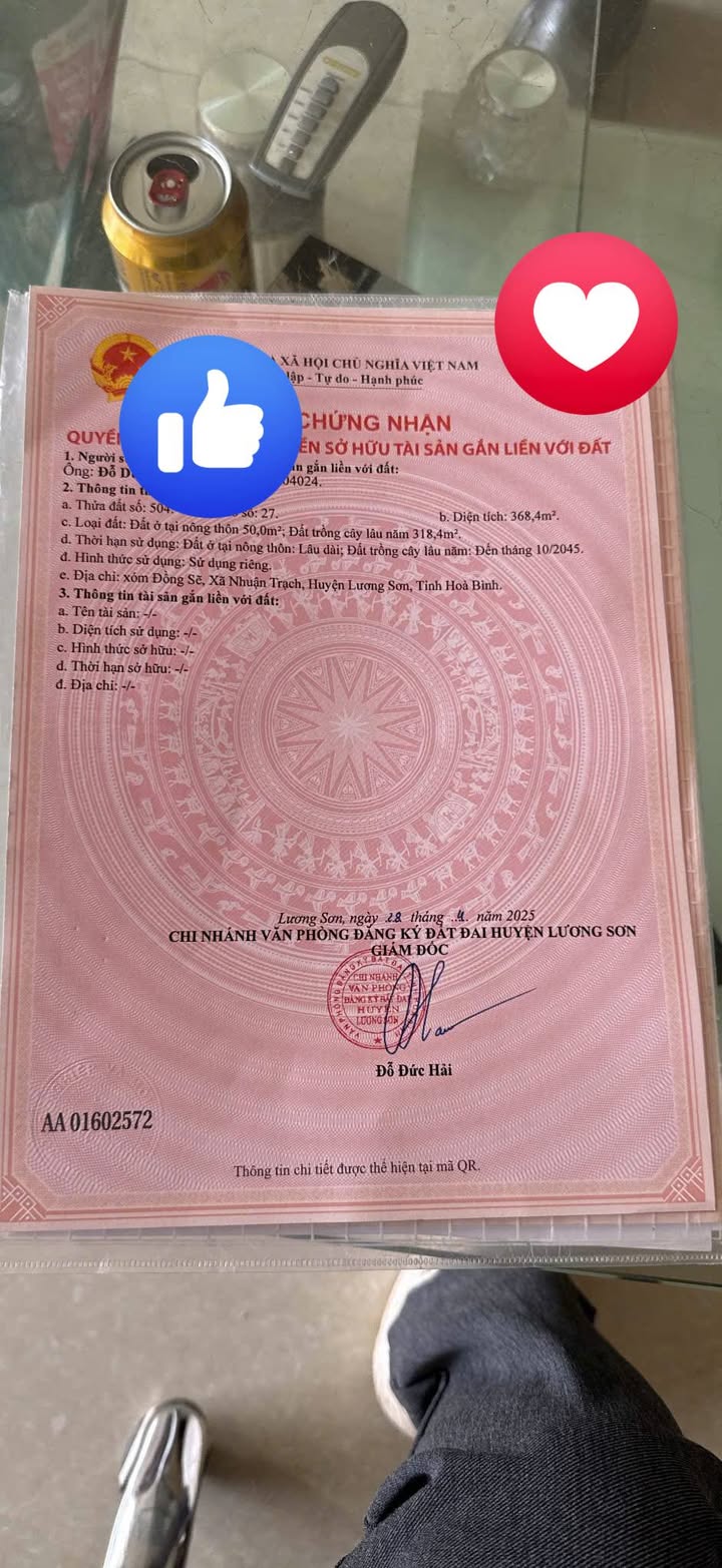 Đất Nền Chính Chủ Nhuận Trạch 368m² Giá Chỉ 3.68 Tỷ - Cơ Hội Vàng Đầu Tư!