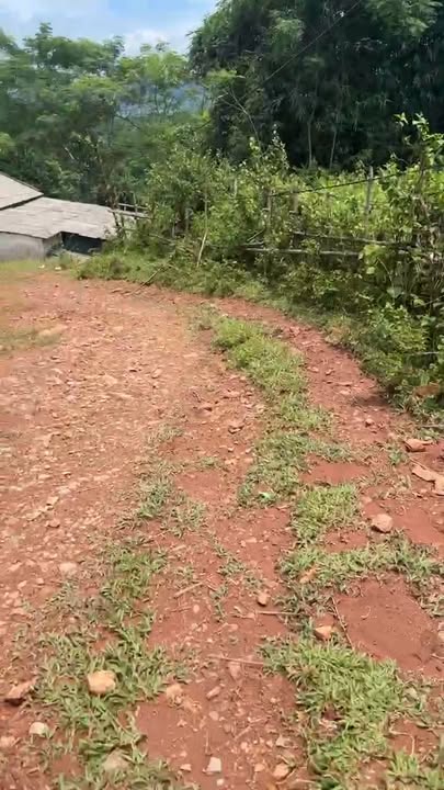 Đất nền Phú Cường Tân Lạc 3196m² giá 1 tỷ - Sổ đỏ chính chủ, sang tên nhanh chóng!