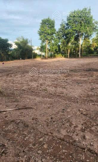 Đất thổ cư 1000m² mặt tiền đường Cây Thông Ngoài, Cửa Dương, chỉ 4.5 tỷ - Đầu tư sinh lời hấp dẫn!