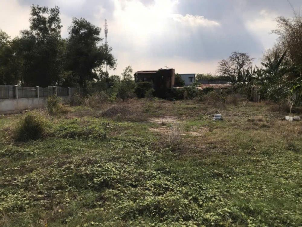 Đất nền Hóc Môn 1440m² giá 6.9 tỷ - Đầu tư sinh lời ngay!