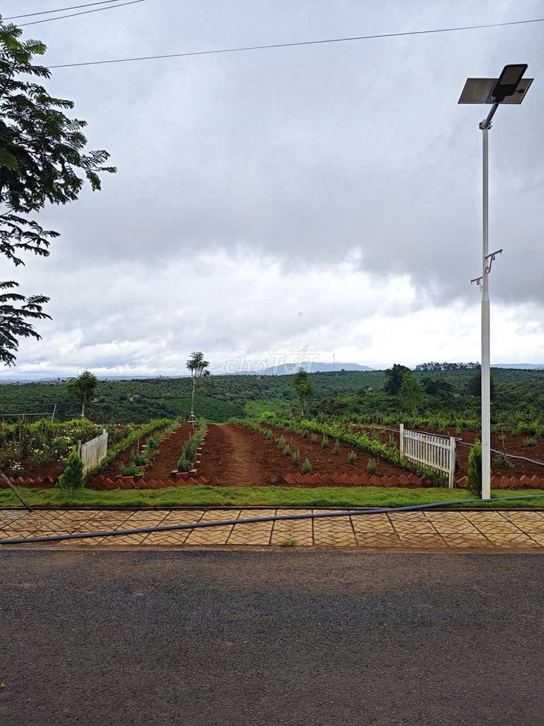 Đất nền Hòa Ninh, Di Linh 157,6m² chỉ 648 triệu - Đầu tư sinh lời ngay!