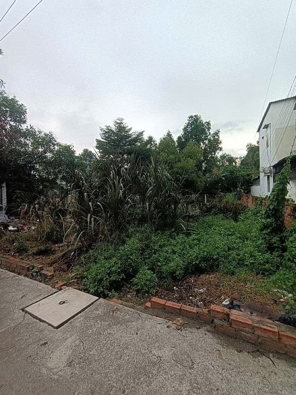 Đất vuông SHR HXH 300m² Tân Hiệp 4 Hóc Môn - Tiện ích đầy đủ chỉ 3.8 tỷ!