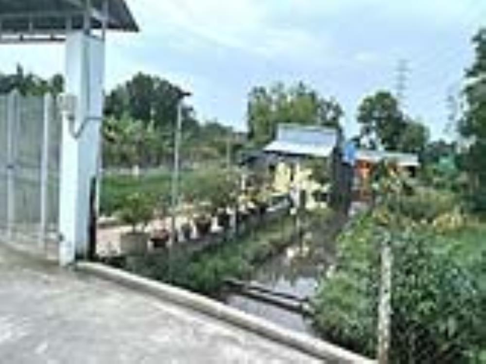 Đất nền Đông Thạnh 2 Hóc Môn 2798m² giá 11.5 tỷ - Sổ hồng chính chủ, đường thông thoáng!