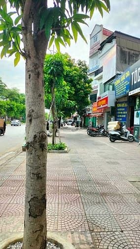 Nhà phố Cổ Linh 7 tầng, 162m² giá 46.2 tỷ - Đầu tư sinh lời ngay!