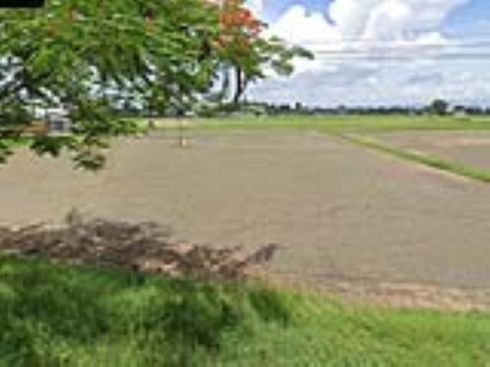 Đất mặt tiền Xuân Thới Sơn 557m² giá 6.7 tỷ - Đường 8m thông thoáng!