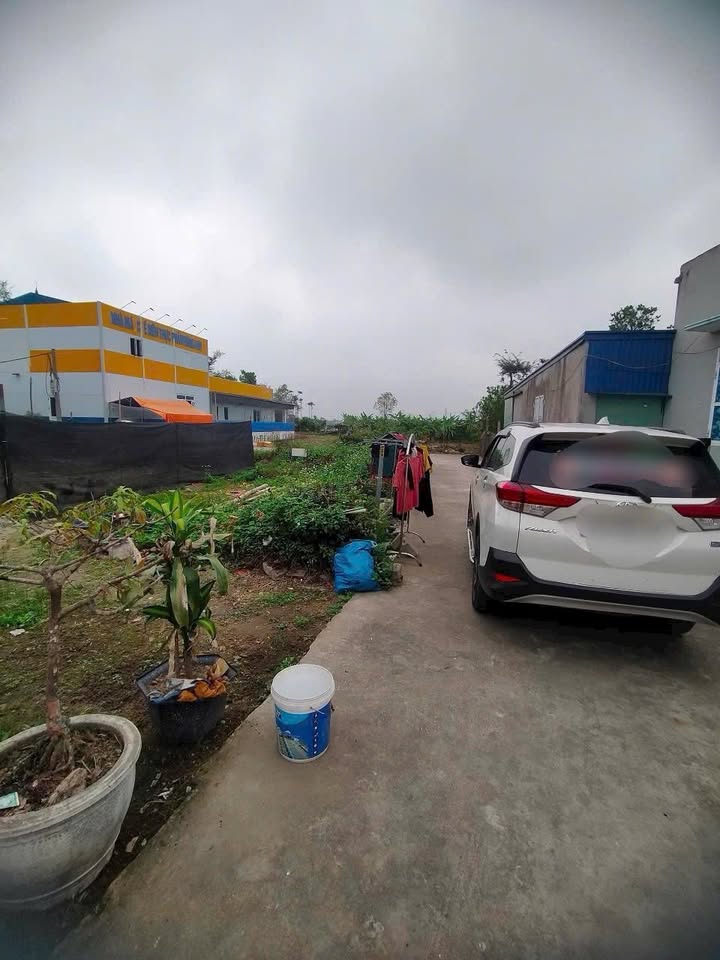 Đất nền An Thắng An Lão 100m² giá thỏa thuận - Gần trung tâm tiện ích!