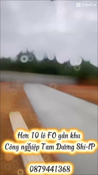 Đất nền dự án Khu Công Nghiệp Tam Dương 105m² giá chỉ 800 triệu - Sổ hồng chính chủ!