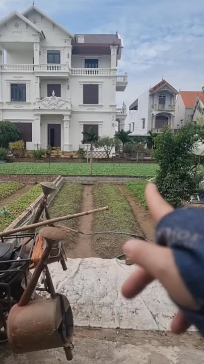 Căn hộ Thư Phú Thường Tín 48m² giá 2.2 tỷ - Cơ hội đầu tư tuyệt vời!