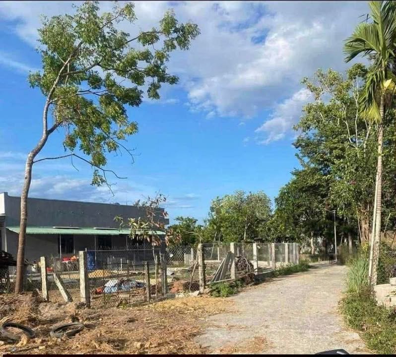 Đất thổ cư Phú Thịnh 104m² giá chỉ 295 triệu - Cơ hội đầu tư tuyệt vời!