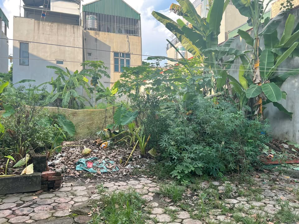 Đất dự án TDC Bắc Phú Cát, Hòa Lạc 55m² giá 4 tỷ - Cơ hội vàng đầu tư!